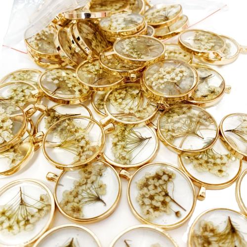 Harz Anhänger, mit Getrocknete Blumen & Zinklegierung, rund, Epoxidharzklebstoff, DIY & verschiedene Stile für Wahl, pendant length 30-35mm, verkauft von PC