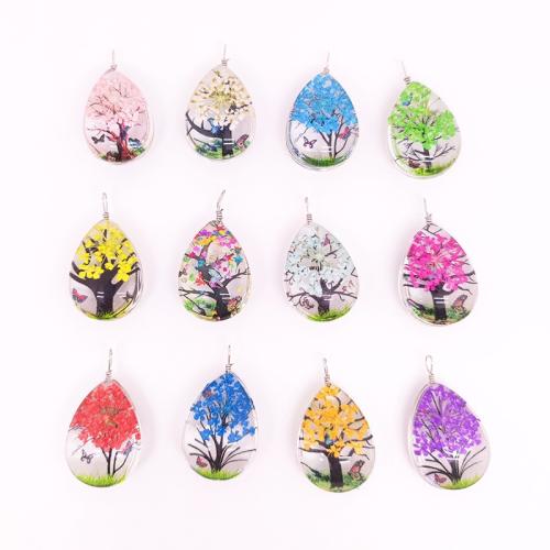 Glass Pendant, with Dried Flower & Tibetan Style, DIY & different styles for choice, Random Color, Sold By PC