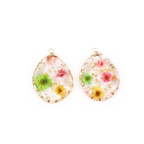 Brass Pendant, with Dried Flower & Resin & Plastic Pearl, Teardrop, plated, DIY, more colors for choice, nickel, lead & cadmium free, 37.80x27x37.80mm, Sold By PC