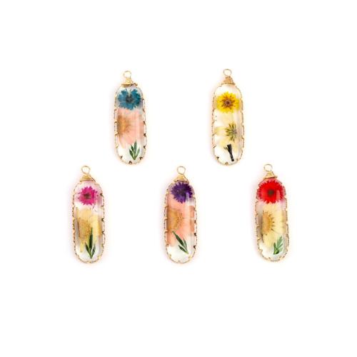 Resin Pendant, with Dried Flower & Brass, Teardrop, plated, DIY, more colors for choice, 43x14mm, Sold By PC