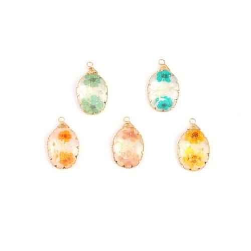 Resin Pendant, with Dried Flower & Brass, Teardrop, plated, DIY, Random Color, 31x19mm, Sold By PC