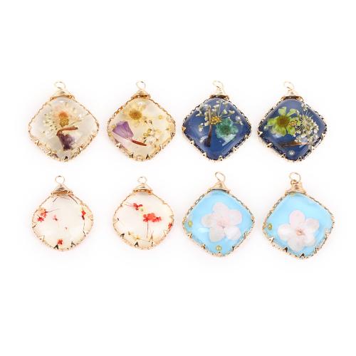Tibetan Style Pendant, with Epoxy Sticker & Dried Flower & Plastic Pearl, Rhombus, plated, DIY, more colors for choice, 27.70x22mm, Sold By PC