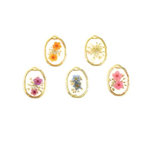 Resin Pendant, with Dried Flower & Tibetan Style, Ellipse, plated, DIY, more colors for choice, 27x20mm, Sold By PC