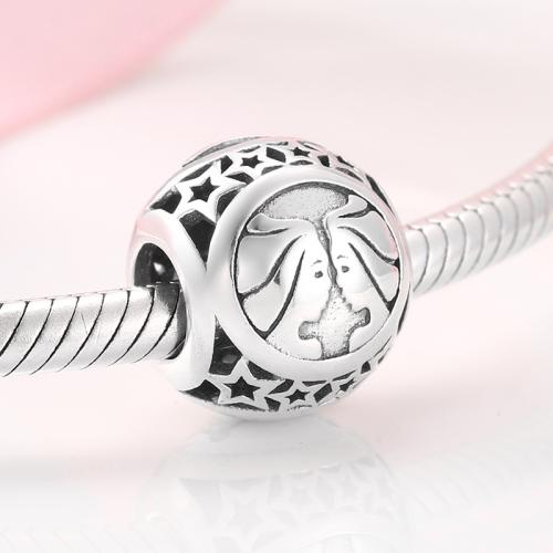 925 Sterling Silver European Beads, 12 Signs of the Zodiac, DIY & different styles for choice, 10mm, Sold By PC