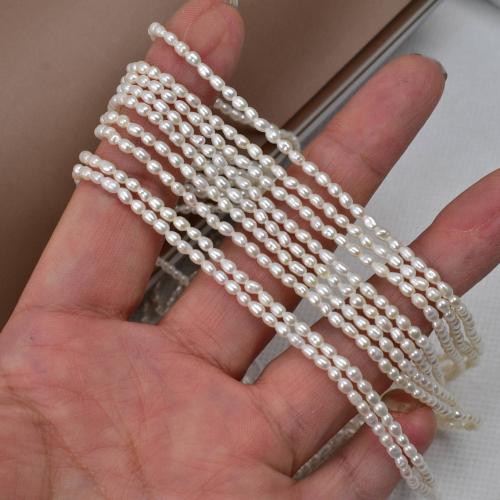 Cultured Rice Freshwater Pearl Beads, DIY, more colors for choice, 2x2.50mm, Sold By Strand