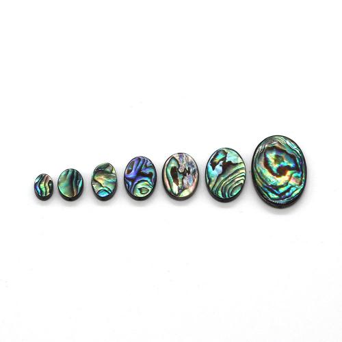 Abalone Shell Beads, natural & DIY & different size for choice, Sold By PC