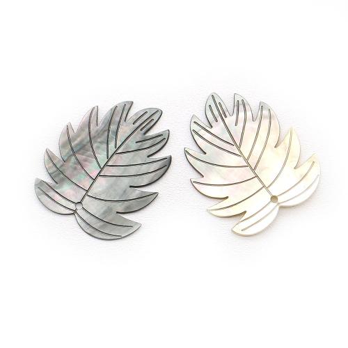 Natural White Shell Pendants, Leaf, DIY & different materials for choice, 38x45mm, Sold By PC