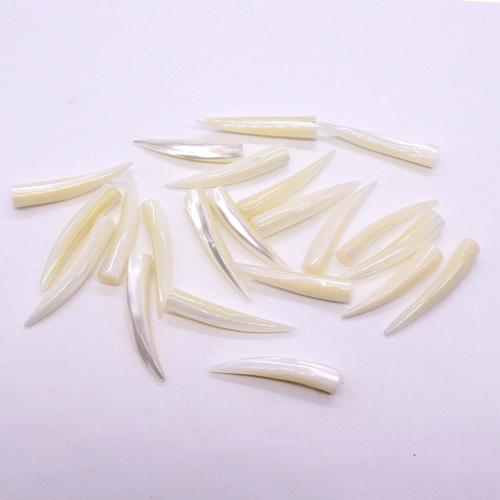 White Lip Shell Beads, Horn, natural & DIY & no hole, 5x30mm, Sold By PC