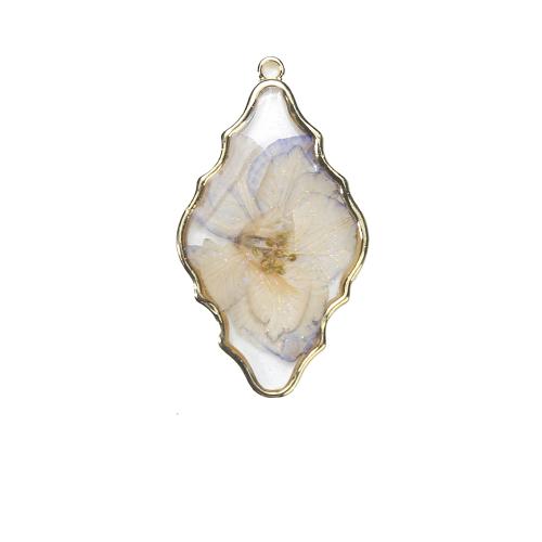 Tibetan Style Pendant, with Dried Flower & Resin, Rhombus, gold color plated, DIY, two different colored, 27.02x3.02x48.34mm, Sold By PC