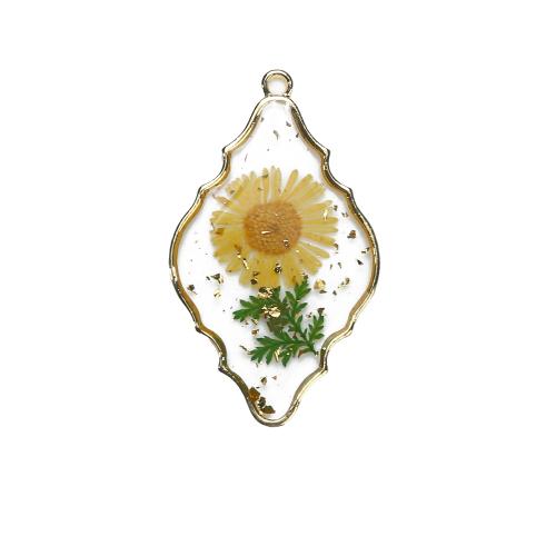 Tibetan Style Pendant, with Dried Flower & Resin, Rhombus, gold color plated, DIY, mixed colors, 27.02x3.02x48.34mm, Sold By PC