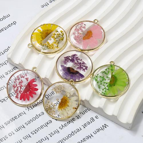 Brass Pendant, with Dried Flower & Resin & Plastic Pearl, Round, gold color plated, DIY, more colors for choice, nickel, lead & cadmium free, 29.80x2.84x32.92mm, Sold By PC