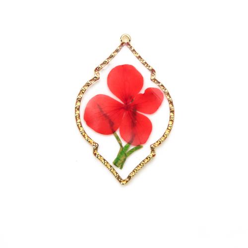 Resin Pendant, with Dried Flower & Brass, Rhombus, DIY, mixed colors, 33.74x2.40x51.44mm, Sold By PC