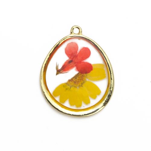 Brass Pendant, with Dried Flower & Resin, plated, DIY, mixed colors, nickel, lead & cadmium free, 28.08x3.41x35mm, Sold By PC