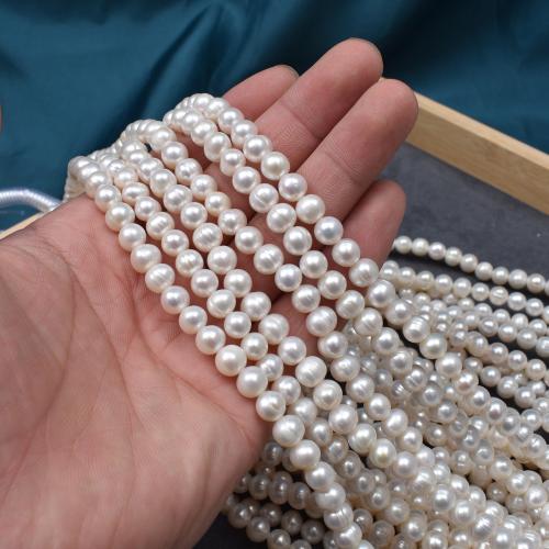 Natural Freshwater Pearl Loose Beads, Flat Round, DIY, white, 7x7mm, Sold By Strand