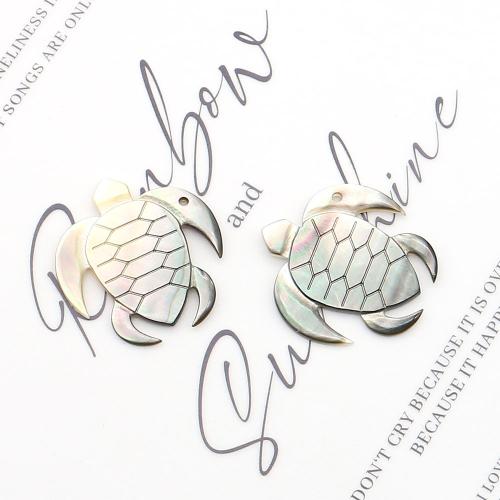 Natural Black Shell Pendants, Black Lip Shell, Turtle, DIY, mixed colors, 29x31mm, Sold By PC