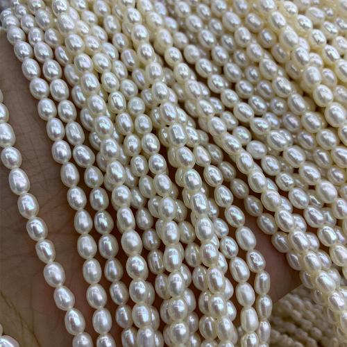 Perles d'eau douce de culture de riz, perle d'eau douce cultivée, DIY, blanc, 4+5MM, Vendu par 37 cm brin