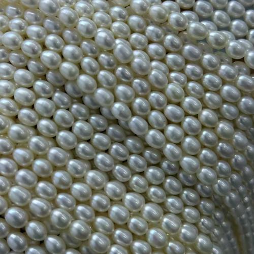 Perles d'eau douce de culture de riz, perle d'eau douce cultivée, DIY, blanc, 5-6mm, Vendu par 38 cm brin