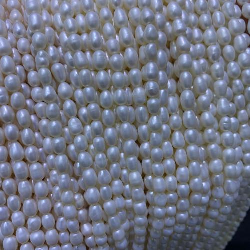 Perles d'eau douce de culture de riz, perle d'eau douce cultivée, DIY, blanc, 4-5mm, Vendu par 36 cm brin