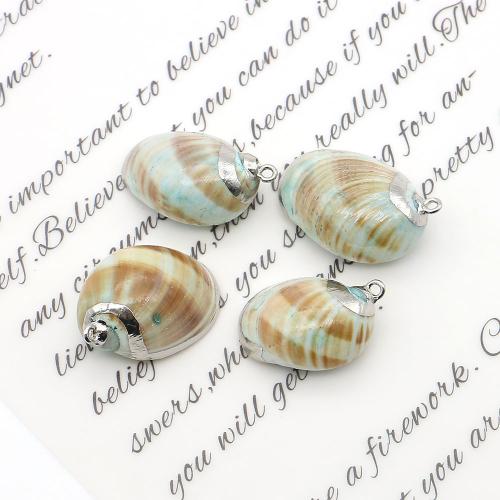 Shell Pendants, with Iron, Conch, silver color plated, DIY, mixed colors, 21x28mm-23x33mm, Sold By PC