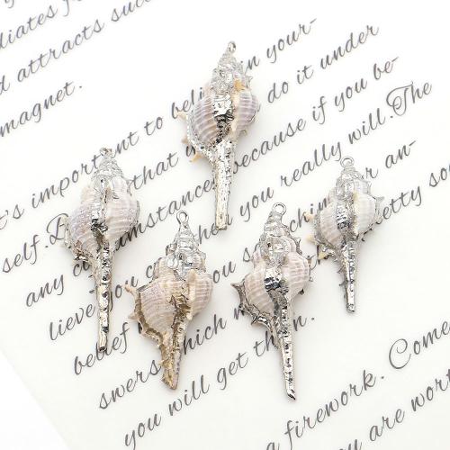 Natural Trumpet Shell Pendants, with Iron, Conch, silver color plated, DIY, mixed colors, 19x39mm-19x51mm, Sold By PC