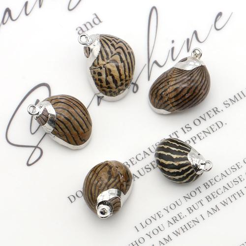 Natural Trumpet Shell Pendants, with Iron, Conch, silver color plated, DIY, mixed colors, 12x20mm-17x23mm, Sold By PC