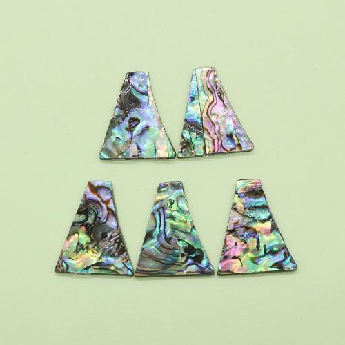 Кабошоны из ракушек, Раковина морское ушко, с Латунь, DIY, разноцветный, продается PC