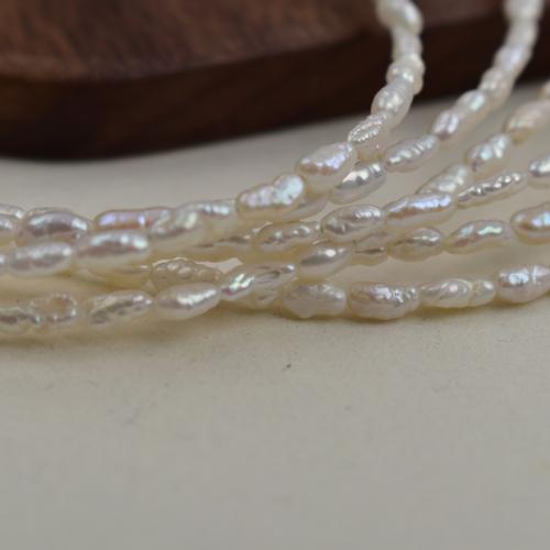 Cultured Baroque Freshwater Pearl Beads, irregular, DIY, white, 2-3mm, Sold By Strand
