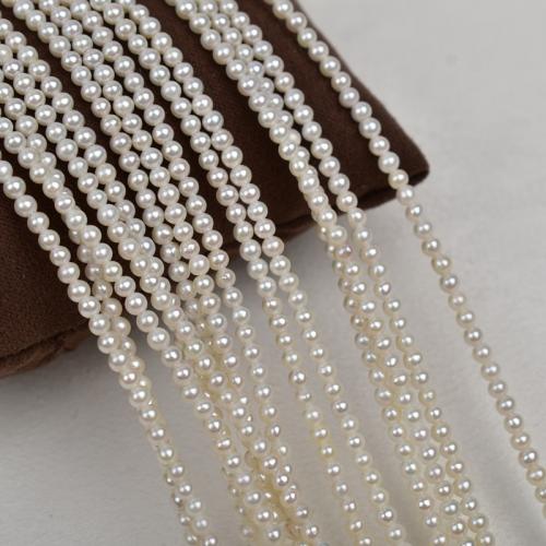 Natural Freshwater Pearl Loose Beads, irregular, DIY, white, 2-3mm, Sold Per 39 cm Strand