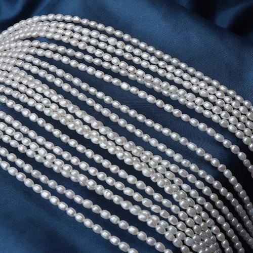 Cultured Rice Freshwater Pearl Beads, DIY, white, 3-3.5mm, Length:37 cm, Sold By PC