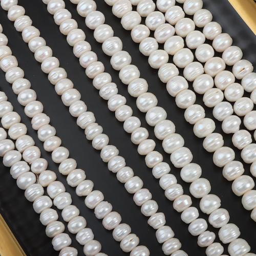 Naturel d'eau douce perles, perle d'eau douce cultivée, Plat rond, DIY, blanc, 8-9mm, Vendu par 38 cm brin