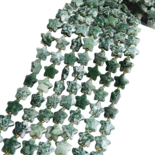Gemstone Jewelry Beads, Natural Stone, with Seedbead, Star, DIY, mixed colors, 6x15mm, Sold Per 38 cm Strand