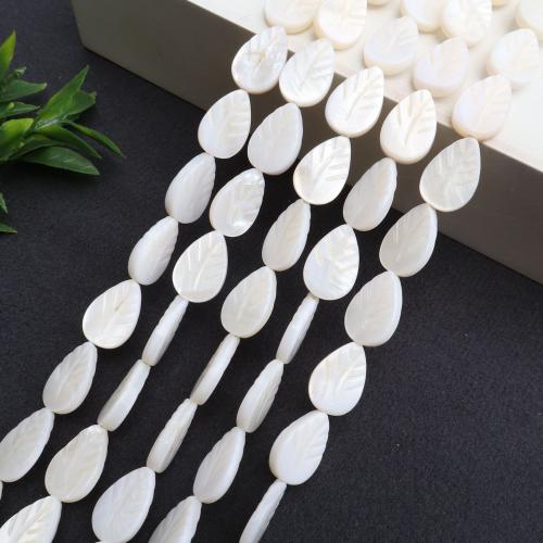 Natural Freshwater Shell Beads, DIY, more colors for choice, Sold Per 38 cm Strand