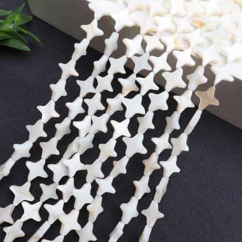Natural Freshwater Shell Beads, DIY, more colors for choice, Sold Per 38 cm Strand