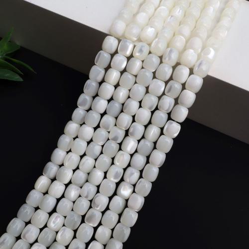 Trochus Beads, DIY, white, Sold Per 38 cm Strand