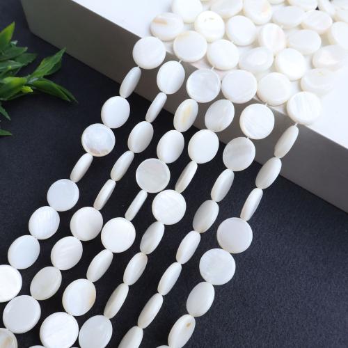 Natural Freshwater Shell Beads, Flat Round, DIY, white, Sold Per 38 cm Strand