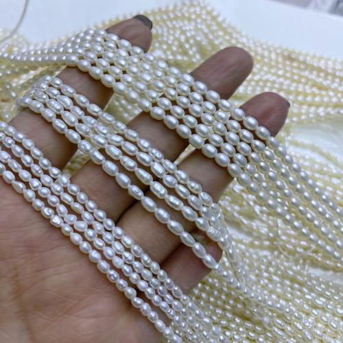 Cultured Rice Freshwater Pearl Beads, DIY, more colors for choice, 2.5-3.5mm, Sold Per 37 cm Strand