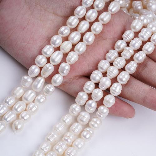 Cultured Rice Freshwater Pearl Beads, DIY, white, 7-8mm, Sold Per 15 cm Strand