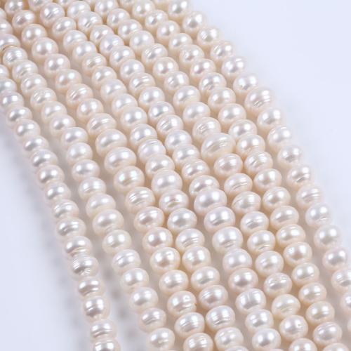Natural Freshwater Pearl Loose Beads, Flat Round, DIY, white, 12-15mm, Sold Per 37 cm Strand