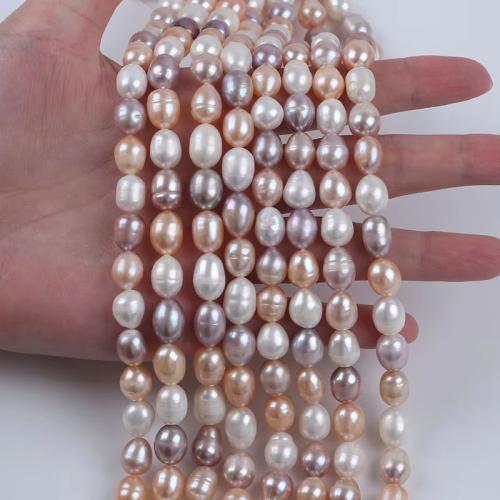 Cultured Rice Freshwater Pearl Beads, DIY, more colors for choice, 8-9mm, Sold Per 36 cm Strand