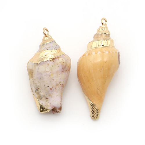 Shell Pendants, with Brass, Conch, plated, DIY, mixed colors, 43x44mm-48x52mm, Sold By PC