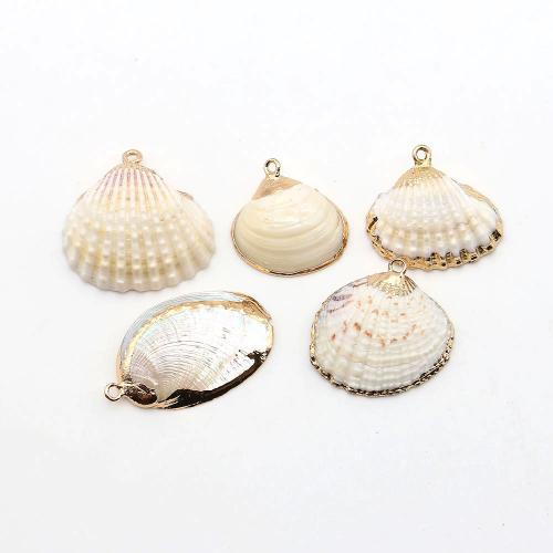 Shell Pendants, with Brass, plated, DIY, more colors for choice, Sold By PC