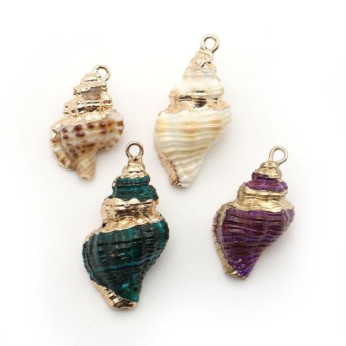 Shell Pendants, with Brass, Conch, plated, DIY, more colors for choice, 12x19mm-20x33mm, Sold By PC