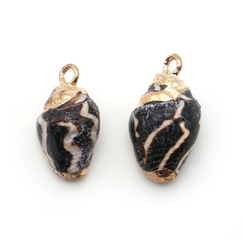 Shell Pendants, with Brass, Conch, plated, DIY, mixed colors, 9x16mm-10x18mm, Sold By PC