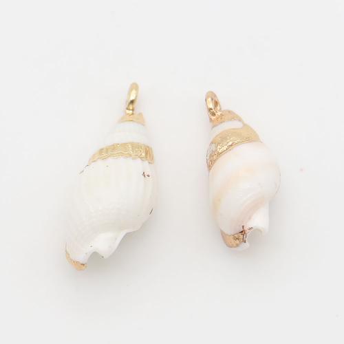 Shell Pendants, with Brass, Conch, plated, DIY, mixed colors, 9x19mm-10x23mm, Sold By PC