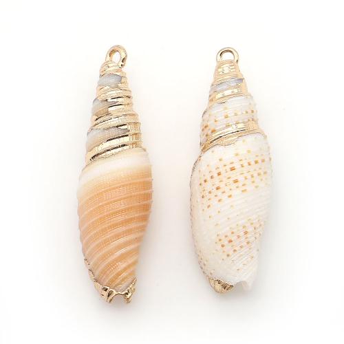 Shell Pendants, with Brass, Conch, plated, DIY, mixed colors, 11x39mm-12x37mm, Sold By PC