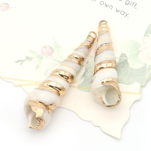 Shell Pendants, with Brass, Conch, DIY, mixed colors, Sold By PC