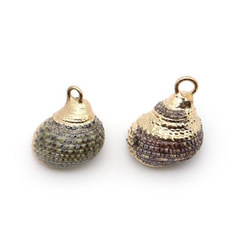 Shell Pendants, with Brass, Conch, plated, DIY, mixed colors, 13x17mm-14x19mm, Sold By PC