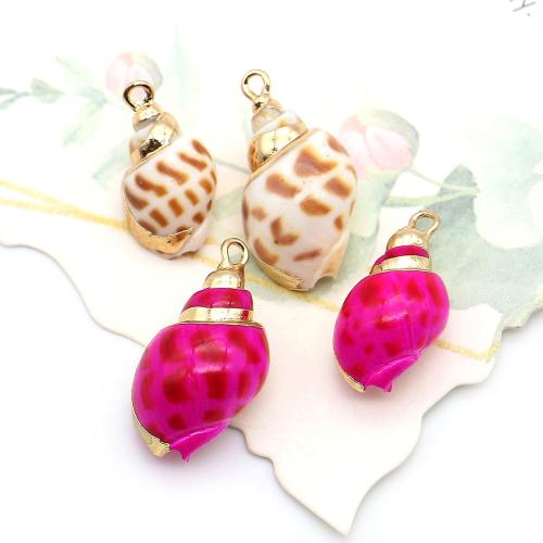 Shell Pendants, with Brass, Conch, plated, dyed & DIY, mixed colors, 11x18mm-13x24mm, Sold By PC