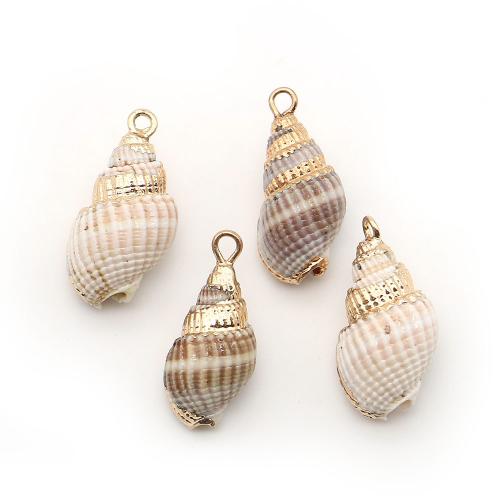 Shell Pendants, with Brass, Conch, plated, DIY, mixed colors, 10x22mm-12x22mm, Sold By PC