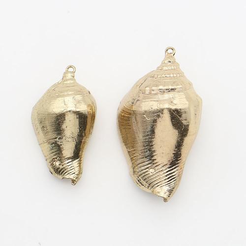 Shell Pendants, with Brass, Conch, plated, DIY, mixed colors, 22x39mm-30x51mm, Sold By PC